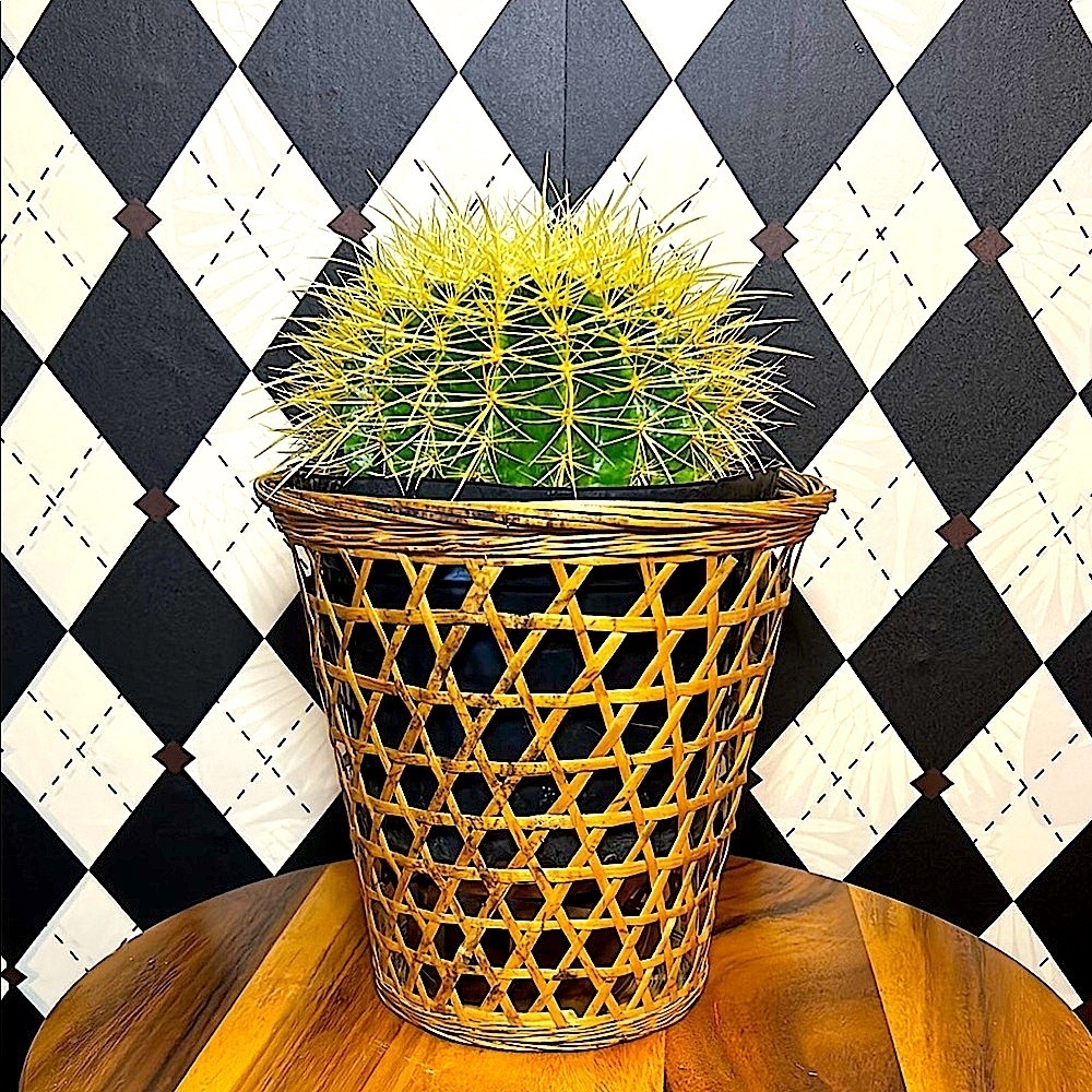 Vintage Open Weave Wicker Basket – Rustic Charm – 9-Inch